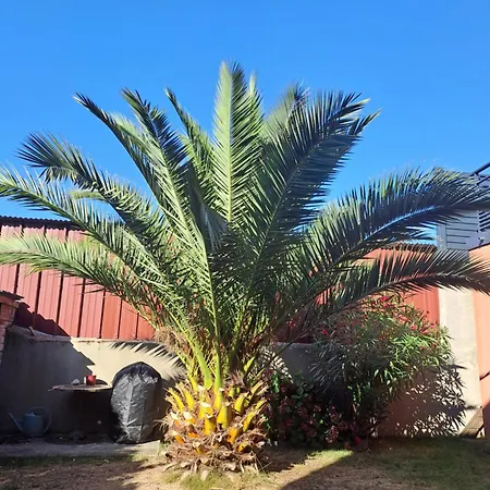 Proche Gare Centre Le Mans