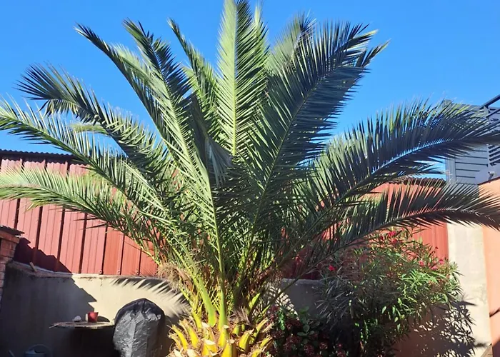 Proche Gare Centre Le Mans